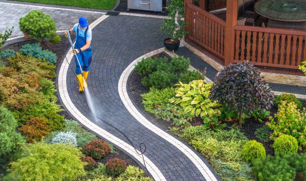Best Local Pressure Washing Services  in Colfax, WI